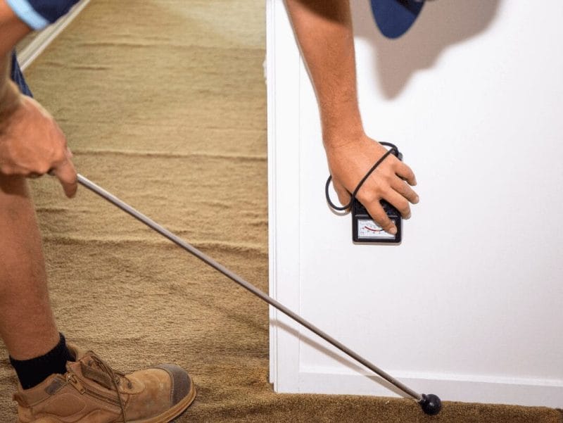 The Role of Termite Inspections 3 Inspector using a moisture meter and probe during a termite inspection